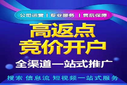 百度推广实战攻略：案例与技巧